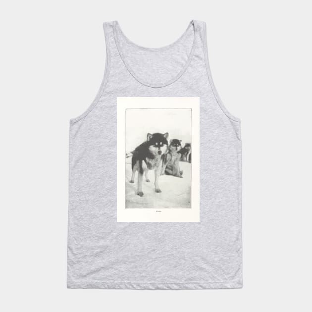 Dogs Tank Top by howaboutthat